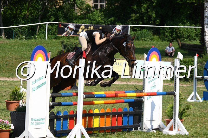 105M3516_Wasco de Gama_Spring_L.JPG